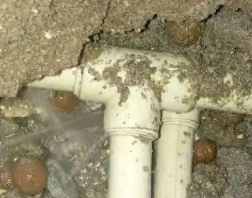 南山测漏水多少钱