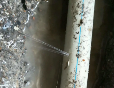 南山测漏水哪家好